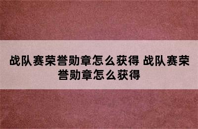 战队赛荣誉勋章怎么获得 战队赛荣誉勋章怎么获得